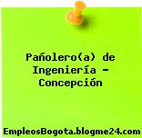 Pañolero(a) de Ingeniería – Concepción
