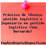 Práctica de Técnico gestión logística o Ingeniería en gestión logística (San Bernardo)