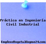 Práctica en Ingeniería Civil Industrial