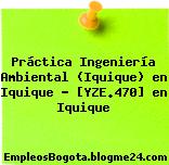 Práctica Ingeniería Ambiental (Iquique) en Iquique – [YZE.470] en Iquique