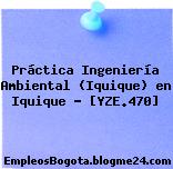 Práctica Ingeniería Ambiental (Iquique) en Iquique – [YZE.470]