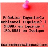 Práctica Ingeniería Ambiental (Iquique) | (H690) en Iquique | [RO.658] en Iquique