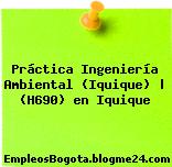 Práctica Ingeniería Ambiental (Iquique) | (H690) en Iquique
