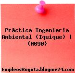 Práctica Ingeniería Ambiental (Iquique) | (H690)