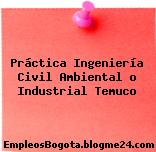 Práctica Ingeniería Civil Ambiental o Industrial Temuco