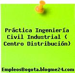 Práctica Ingeniería Civil Industrial ( Centro Distribución)