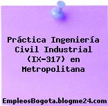 Práctica Ingeniería Civil Industrial (IX-317) en Metropolitana