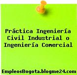 Práctica Ingeniería Civil Industrial o Ingeniería Comercial