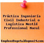 Práctica Ingeniería Civil Industrial o Logística Nestlé Professional Macul