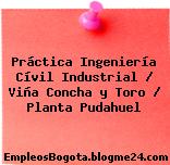 Práctica Ingeniería Cívil Industrial / Viña Concha y Toro / Planta Pudahuel