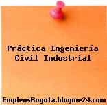 Práctica Ingeniería Civil Industrial