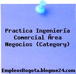 Practica Ingeniería Comercial Área Negocios (Category)