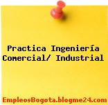 Practica Ingeniería Comercial/ Industrial