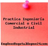 Práctica Ingeniería Comercial o Civil Industrial