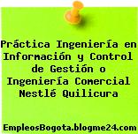Práctica Ingeniería en Información y Control de Gestión o Ingeniería Comercial Nestlé Quilicura