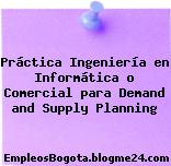 Práctica Ingeniería en Informática o Comercial para Demand and Supply Planning