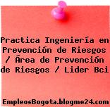Practica Ingeniería en Prevención de Riesgos / Área de Prevención de Riesgos / Lider Bci