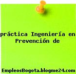 práctica Ingeniería en Prevención de