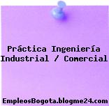 Práctica Ingeniería Industrial / Comercial
