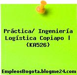 Práctica/ Ingeniería Logística Copiapo | (KA526)