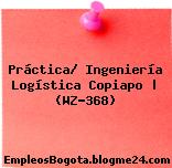 Práctica/ Ingeniería Logística Copiapo | (WZ-368)