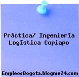Práctica/ Ingeniería Logística Copiapo
