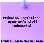 Práctica Logística- Ingeniería Civil Industrial