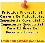 Práctica Profesional Carrera De Psicología, Ingeniería Comercial O Ingeniería Industrial Para El Área De Recursos Humanos