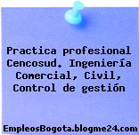 Practica profesional Cencosud. Ingeniería Comercial, Civil, Control de gestión