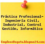 Práctica Profesional- Ingeniería Civil, Industrial, Control Gestión, Informática