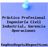 Práctica Profesional Ingeniería Civil Industrial, Gerencia Operaciones