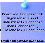 Práctica Profesional Ingeniería Civil Industrial, Gerencia Transformación y Eficiencia, Huechuraba