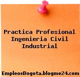 Práctica Profesional Ingeniería Civil Industrial