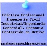 Práctica Profesional Ingeniería Civil Industrial/Ingeniería Comercial, Gerencia Protección de Activo