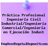 Práctica Profesional Ingeniería Civil Industrial/Ingeniería Comercial/Ingeniería en Ejecución Indust