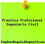Práctica Profesional Ingeniería Civil
