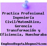Practica Profesional Ingeniería Civil/Matemático, Gerencia Transformación y Eficiencia, Huechuraba