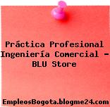 Práctica Profesional Ingeniería Comercial – BLU Store