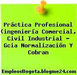 Práctica Profesional (ingeniería Comercial, Civil Industrial – Gcia Normalización Y Cobran