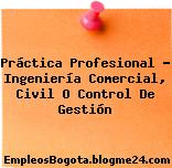 Práctica Profesional – Ingeniería Comercial, Civil O Control De Gestión