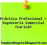 Práctica Profesional – Ingeniería Comercial (Curicó)