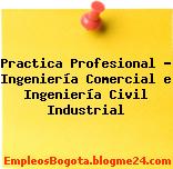 Practica Profesional – Ingeniería Comercial e Ingeniería Civil Industrial