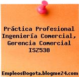 Práctica Profesional Ingeniería Comercial, Gerencia Comercial ISZ538