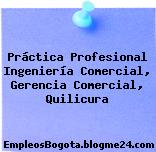 Práctica Profesional Ingeniería Comercial, Gerencia Comercial, Quilicura