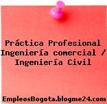 PRÁCTICA PROFESIONAL/ Ingeniería Comercial- Ingeniería Civil