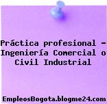 Práctica profesional – Ingeniería Comercial o Civil Industrial