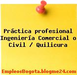 Práctica profesional Ingeniería Comercial o Civil / Quilicura