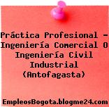 Práctica Profesional – Ingeniería Comercial O Ingeniería Civil Industrial (Antofagasta)