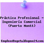 Práctica Profesional – Ingeniería Comercial (Puerto Montt)