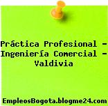 Práctica Profesional – Ingeniería Comercial – Valdivia